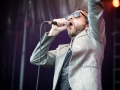 Arthur H, scene a, samedi, AFDLR 2015, Nico M Photographe-11