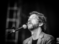 Arthur H, scene a, samedi, AFDLR 2015, Nico M Photographe-7