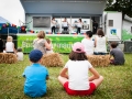kid sonic,Vendredi, Art Sonic 2014, Nico M Photographe-6