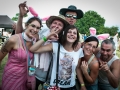 public,samedi, Art Sonic 2014, Nico M Photographe-4