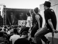 public,samedi, Art Sonic 2014, Nico M Photographe-9