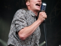 The Nes Nation,samedi, Art Sonic 2014, Nico M Photographe