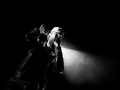 bat fat - Nico M Photographe-2