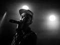 bat fat - Nico M Photographe-7
