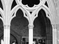 bayonne 135, Nico M Photographe-5
