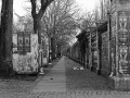 berlin, Nico M Photographe-56