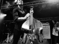 billy hornett, argentique, Au pont du rock 2014,, Nico M Photographe.org-9