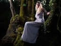 broceliande 4 - Nico M Photographe