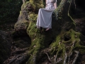 broceliande 5 - Nico M Photographe