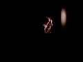 cabadzi x blier - Nico M Photographe-8
