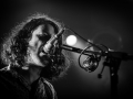 canari, vieux st etienne, dimanche, Nico M Photographe-3
