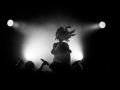 canine-cabaret-botanique-Nico-M-Photographe-4