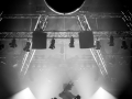 canine-cabaret-botanique-Nico-M-Photographe-6