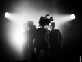 canine-cabaret-botanique-Nico-M-Photographe-7