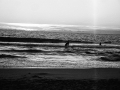 carcans 135, Nico M Photographe-2