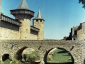 carcasonne 120, Nico M Photographe-4