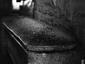 carcassonne 135, Nico M Photographe-6