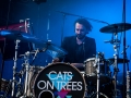 cats on trees, Nico M Photographe-3