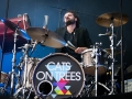 cats on trees, Nico M Photographe-6