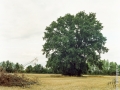 Chateau 120, Nico M Photographe-2