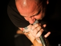 darcy, ubu 14.11.15, Nico M Photographe-10