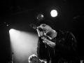 darcy, ubu 14.11.15, Nico M Photographe-2