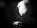 darcy, ubu 14.11.15, Nico M Photographe-7