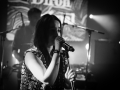 diron animal - Nico M Photographe-4