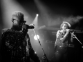 diron animal - Nico M Photographe-5