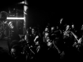 diron animal - Nico M Photographe-8