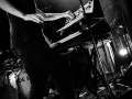 eagles gift, Nico M Photographe-7