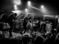 eagles gift, Nico M Photographe-8