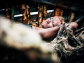 ecologie - Nico M Photographe-8