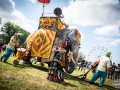parade elephantesque - Nico M Photographe-6