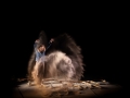 evidences inconnues, l intervalle - Nico M Photographe-15