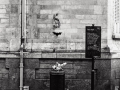 fete de la musique, Nico M Photographe-10