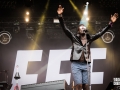 FFF, Vieilles Charrues 2017, Nico M Photographe-4