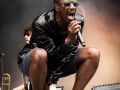 FFF, Vieilles Charrues 2017, Nico M Photographe-6
