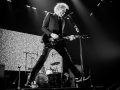 Franz ferdinand - Nico M Photographe-3