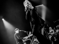 Franz ferdinand - Nico M Photographe-4