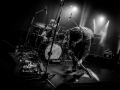 fuzzy vox - Nico M Photographe-5