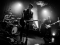 fuzzy vox - Nico M Photographe