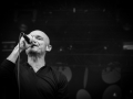 gaetan roussel, Nico M Photographe-5
