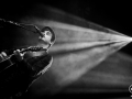 Gauvain Sers - Nico M Photographe-2