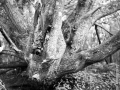 ile de groix 120, Nico M Photographe-10