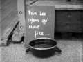 ile de groix 120, Nico M Photographe-2