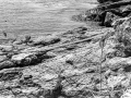 ile de groix 135, Nico M Photographe-11