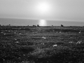 ile de groix 135, Nico M Photographe-9