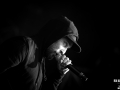 hippocampe fou - Nico M Photographe-3