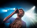 les hurlements de leo, Nico M Photographe-6